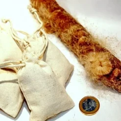 Cattail Anzünden 5 Cattail Anzünden -Halloween Verkäufe cattail anzuenden 2