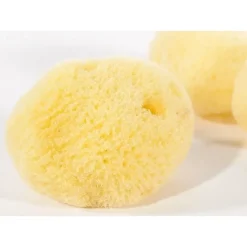 Klassischer Schwamm (Satz Von Drei) -Halloween Verkäufe klassischer schwamm satz von drei 2