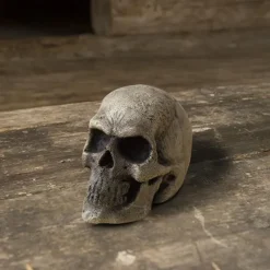 Epic Armoury LARP-Schädel