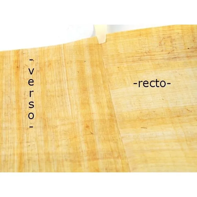 Papyrusrolle 400 X 30 Cm 2 Papyrusrolle 400 X 30 Cm – Bild 2