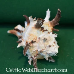 Trompetenschnecken -Halloween Verkäufe trompetenschnecken 2