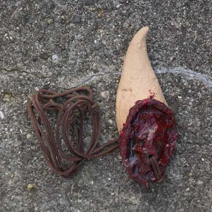 Epic Armoury Trophy Elfisches Ohr 1 Epic Armoury Trophy Elfisches Ohr